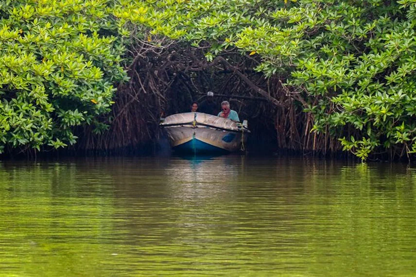 madi-river-side-boat-ride