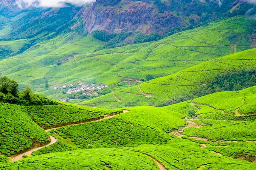 munnar